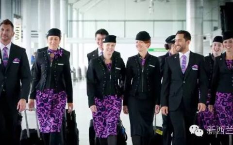 新西兰技术移民职业分析：空乘能移民吗？