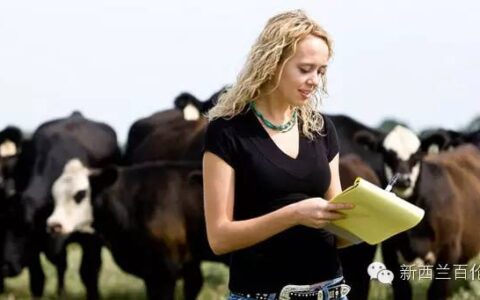 好山好水好职业：农林咨询师