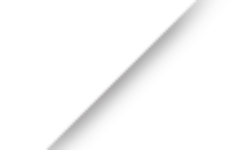 UQ 科学系，发现属于你的世界