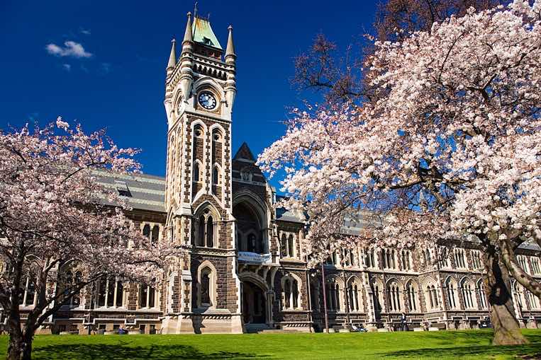 别和清华北大死磕了！来新西兰读大学吧，随便一所大学都是世界500强