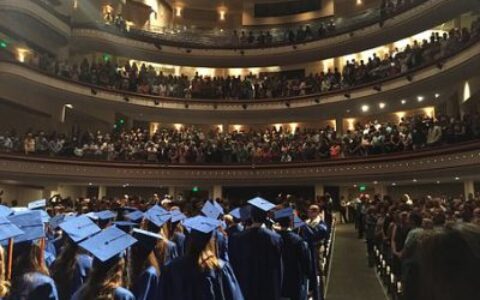 如何查询新西兰官方认证的教育机构