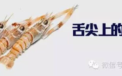 吃货┃舌尖上的新西兰——小龙虾Scampi