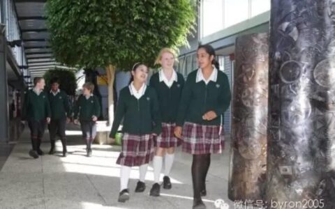 萨默维尔中学：奥克兰东区最佳中学