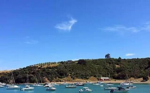 【奥克兰游玩】“醉 • 美”小岛游：激流岛一日游