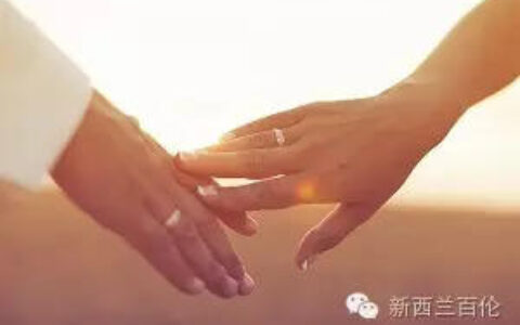 不留学，你也能来新西兰工作唷