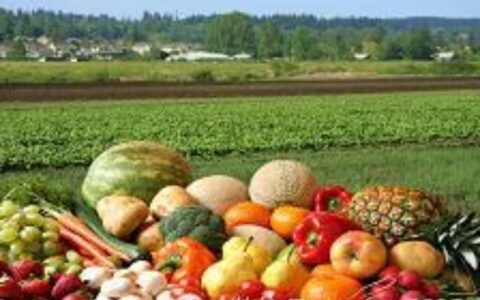 夏天做点啥？新西兰务农小结