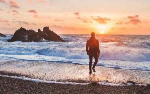 独家企划 | 测测你的专属“留学力”！