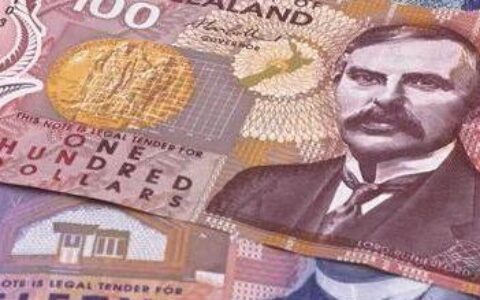 将DIY进行到底——手把手教你搞定新西兰投资移民申请