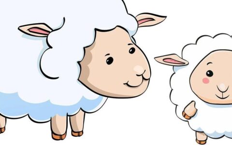 妈妈再也不用担心我的留学