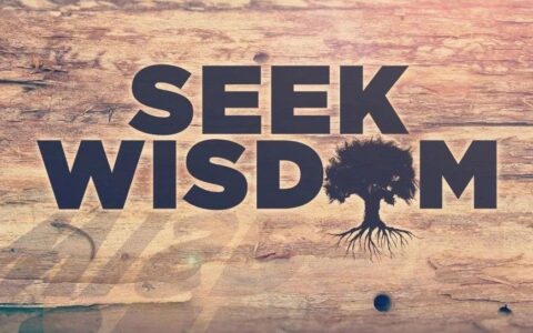 “后高考”时代，所谓的人生一战，不过是人生一站