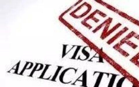 找淘宝、旅行社等申请签证？新西兰移民局：可能会拒签！