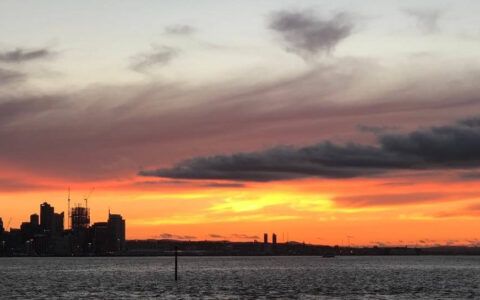 移民局官宣：下一次服务器卡成汪的日子定下来啦