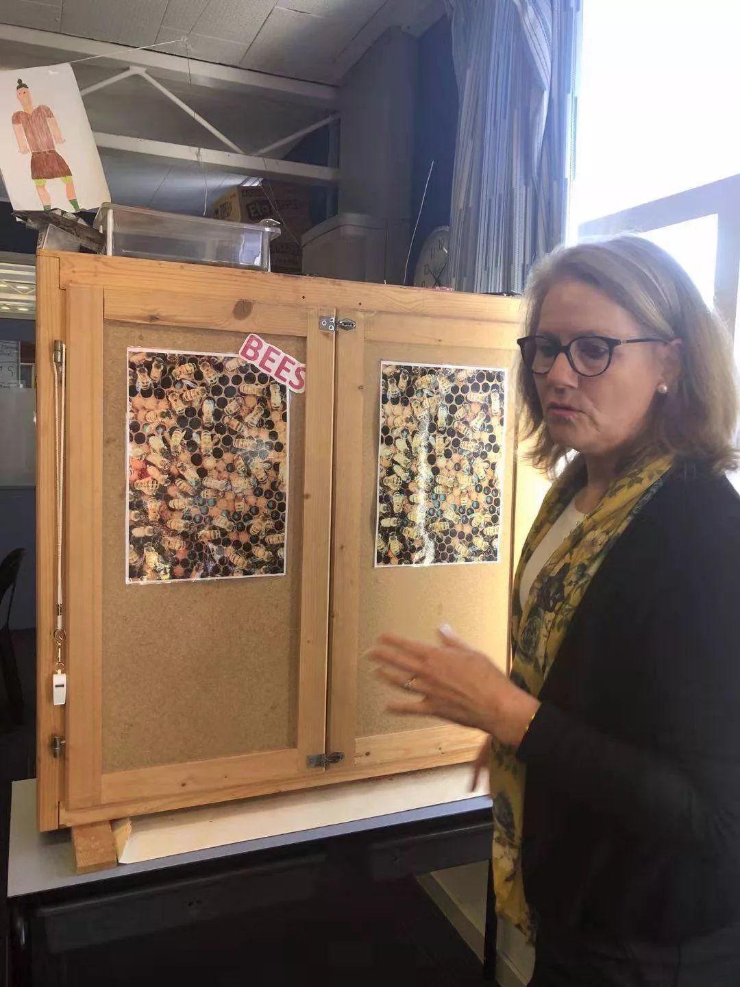 一诺：这个国家的教育惊艳了我