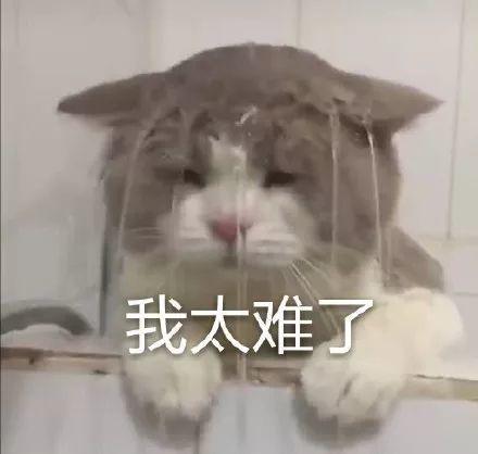 移民新西兰必须要了解的那点儿关于钱的事儿 移民新西兰必须要了解的那点儿关于钱的事儿