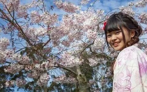 这里樱花烂漫，安全宜居！还能免费游学？真的吗？