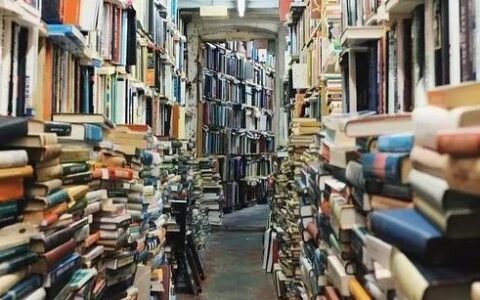 NZQA取消内考第一年，2019新西兰高考后升学方案大盘点