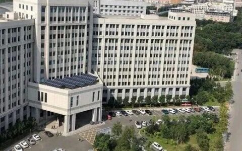 不出国的留学还算是留学吗？——疫情时代的留学生亲述