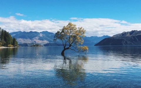 通报：新西兰投资移民最新进展