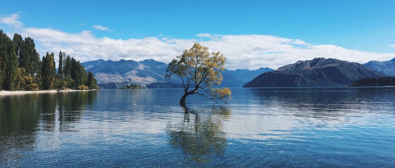 通报：新西兰投资移民最新进展