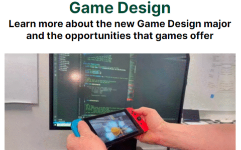 惠灵顿维多利亚大学 设计创新学士 BDI – 游戏设计 Game Design 专业解析