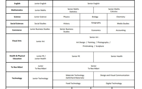 新西兰注册教师“黄金窗口期” → 直通居留！幼教/小学/中学怎么选？