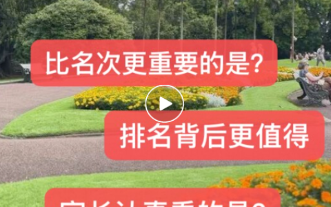 为什么有些新西兰留学申请，更适合交给专业团队，申请新西兰中学/本科/硕士，DIY最容易卡在哪？